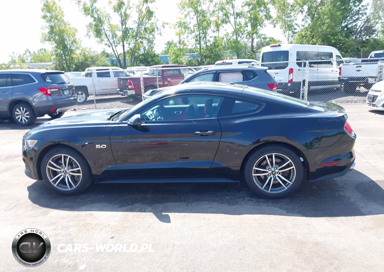 2017 Ford Mustang Gt Premium VIN:1FA6P8CF7H5256385 - 14