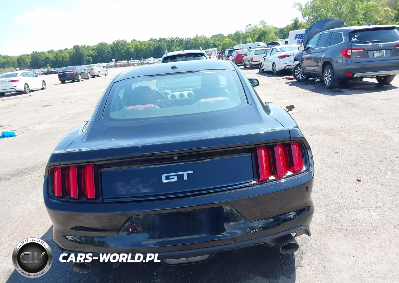2017 Ford Mustang Gt Premium VIN:1FA6P8CF7H5256385 - 16