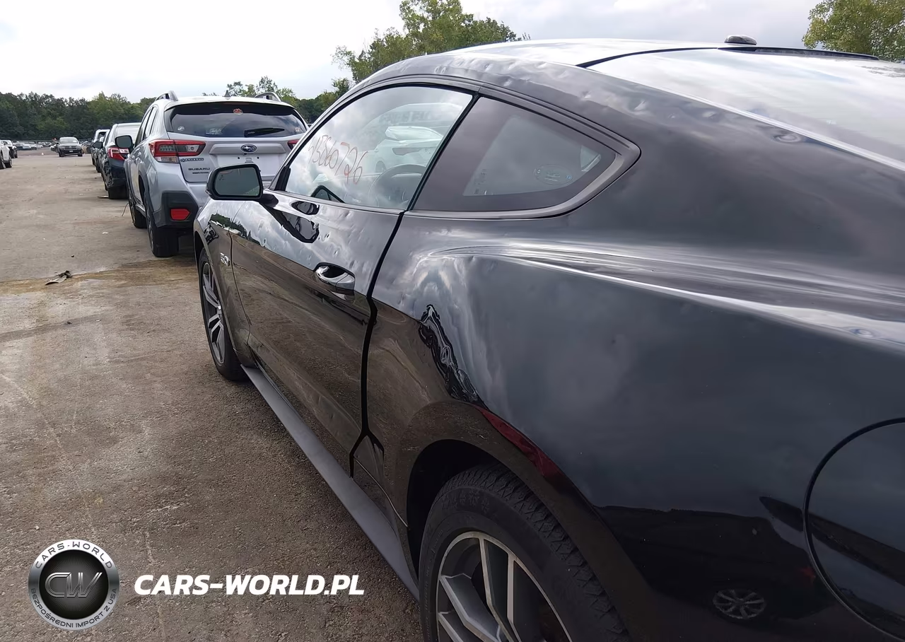 2017 Ford Mustang Gt Premium VIN:1FA6P8CF7H5256385 - 17