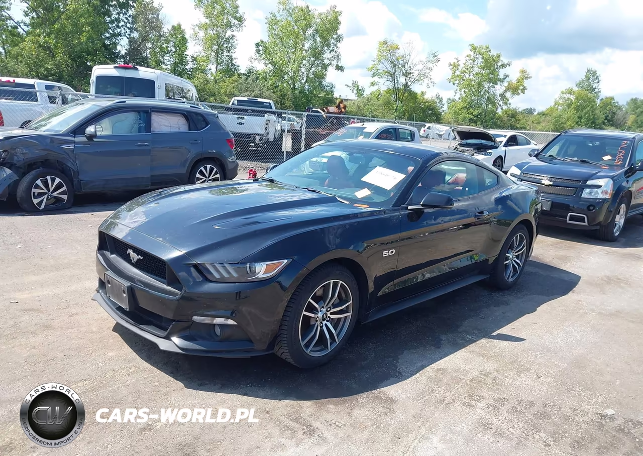 2017 Ford Mustang Gt Premium VIN:1FA6P8CF7H5256385 - 2