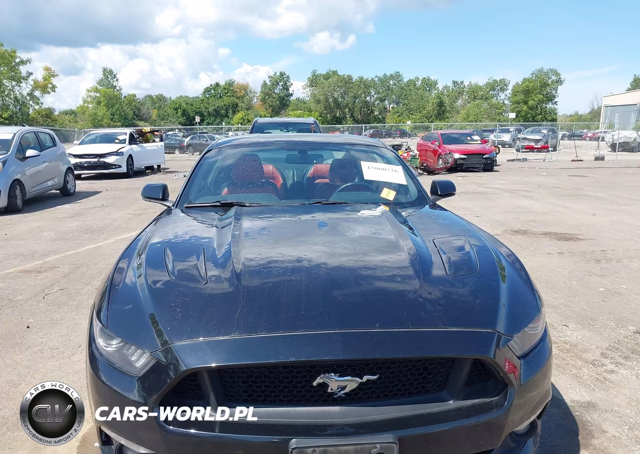 2017 Ford Mustang Gt Premium VIN:1FA6P8CF7H5256385 - 6