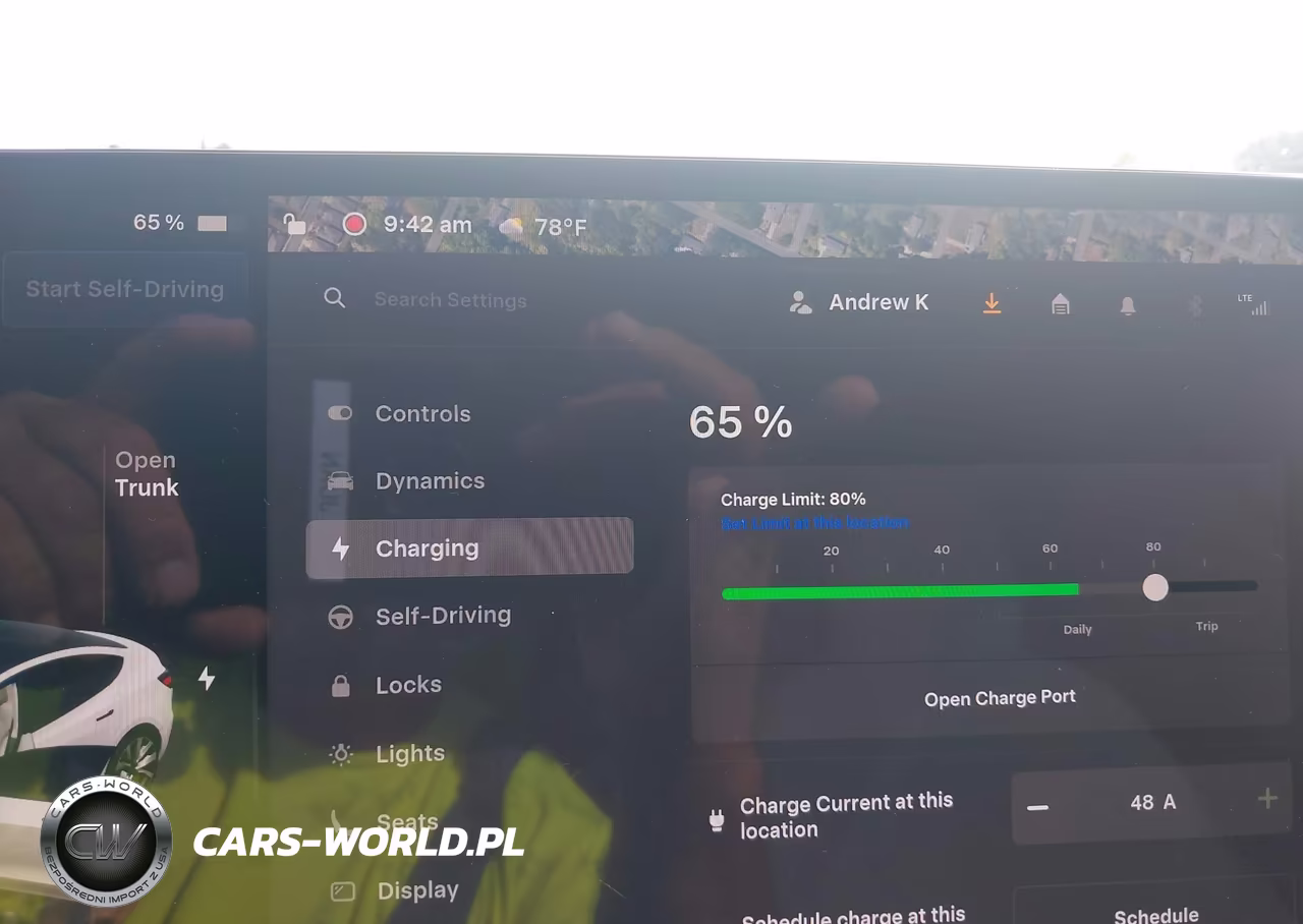 2025 Tesla Model 3 Long Range Rear-Wheel Drive-Standard Rear-Wheel Drive VIN:5YJ3E1EA1SF980008 - 17