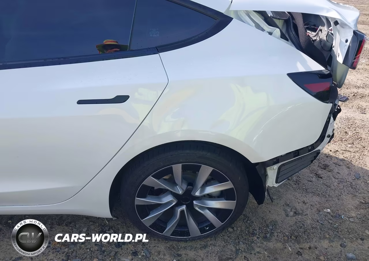 2025 Tesla Model 3 Long Range Rear-Wheel Drive-Standard Rear-Wheel Drive VIN:5YJ3E1EA1SF980008 - 21