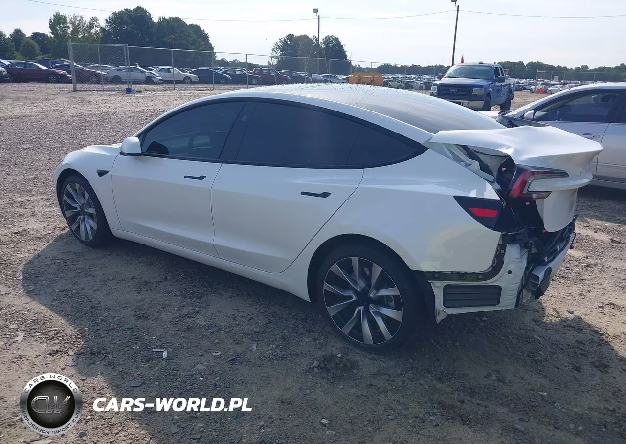 2025 Tesla Model 3 Long Range Rear-Wheel Drive-Standard Rear-Wheel Drive VIN:5YJ3E1EA1SF980008 - 3