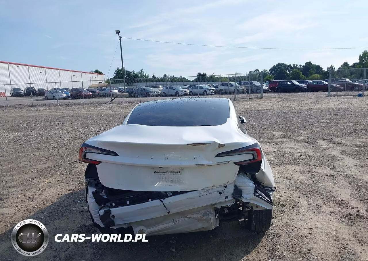2025 Tesla Model 3 Long Range Rear-Wheel Drive-Standard Rear-Wheel Drive VIN:5YJ3E1EA1SF980008 - 6