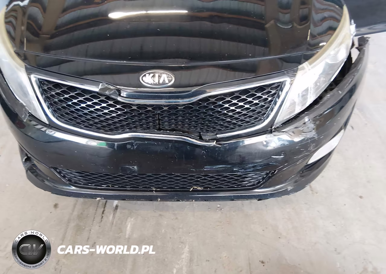 2014 Kia Optima Lx VIN:5XXGM4A79EG332871 - 12