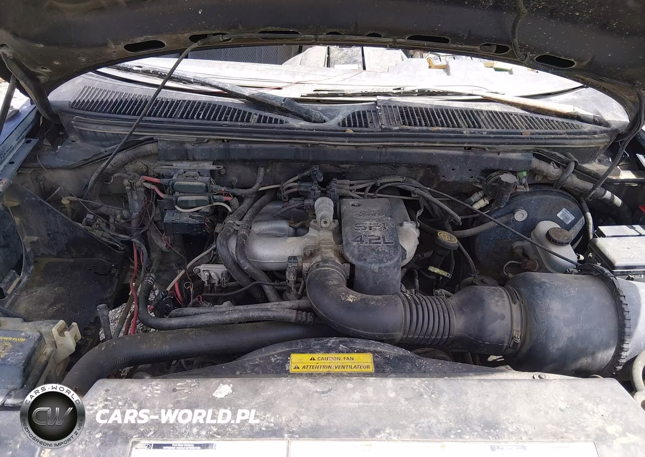 1997 Ford F-150 Standard Standard-Xl-Xlt VIN:1FTDX172XVKA29284 - 10