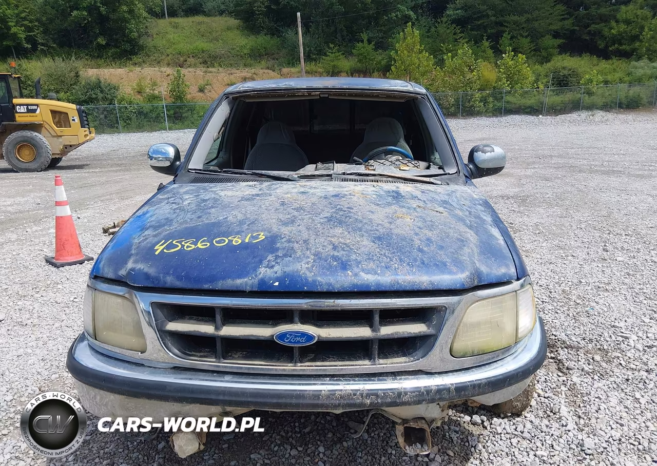1997 Ford F-150 Standard Standard-Xl-Xlt VIN:1FTDX172XVKA29284 - 13