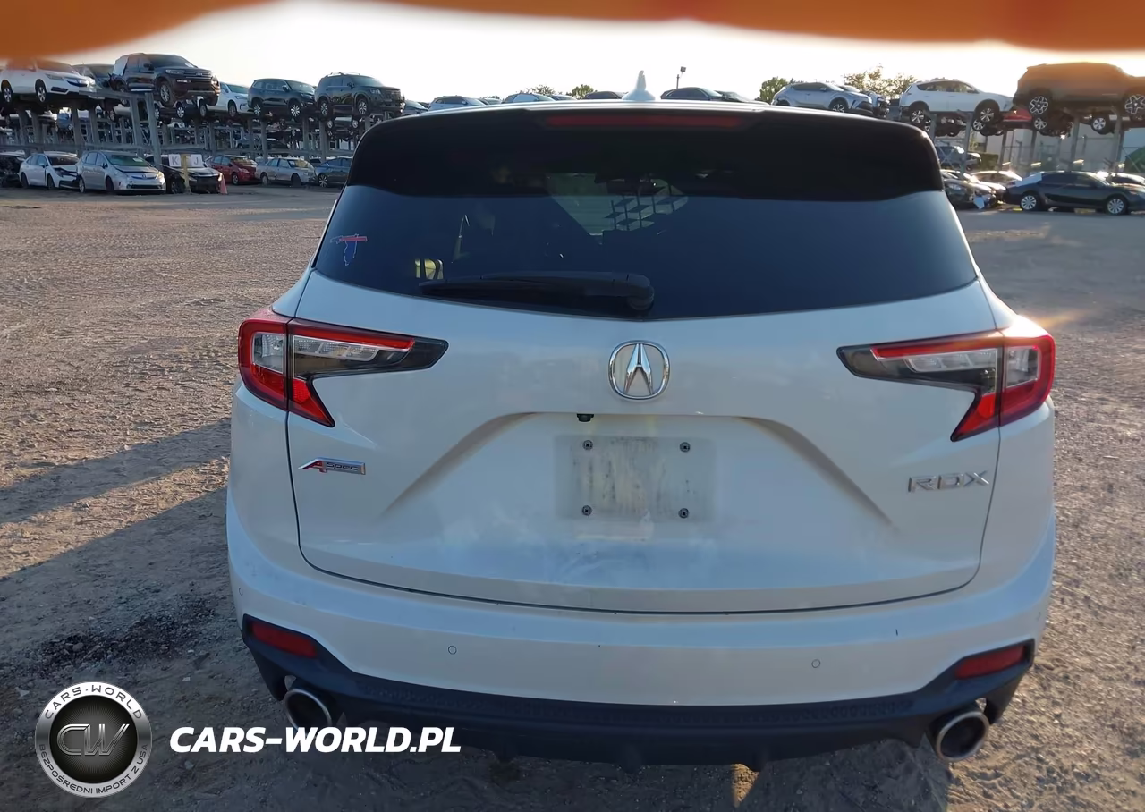 2019 Acura Rdx A-Spec Package VIN:5J8TC1H66KL016693 - 16