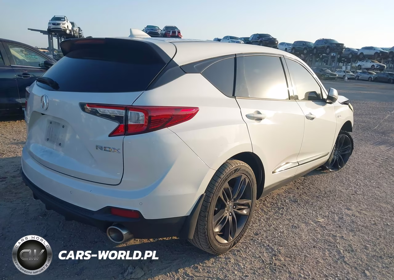 2019 Acura Rdx A-Spec Package VIN:5J8TC1H66KL016693 - 4