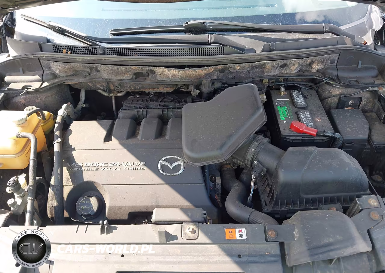 2009 Mazda Cx-9 Grand Touring VIN:JM3TB38V290167313 - 10