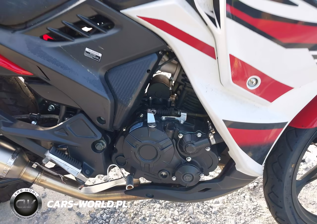 2022 Qipa 198Cc VIN:LXAPRVP7XNX000149 - 8