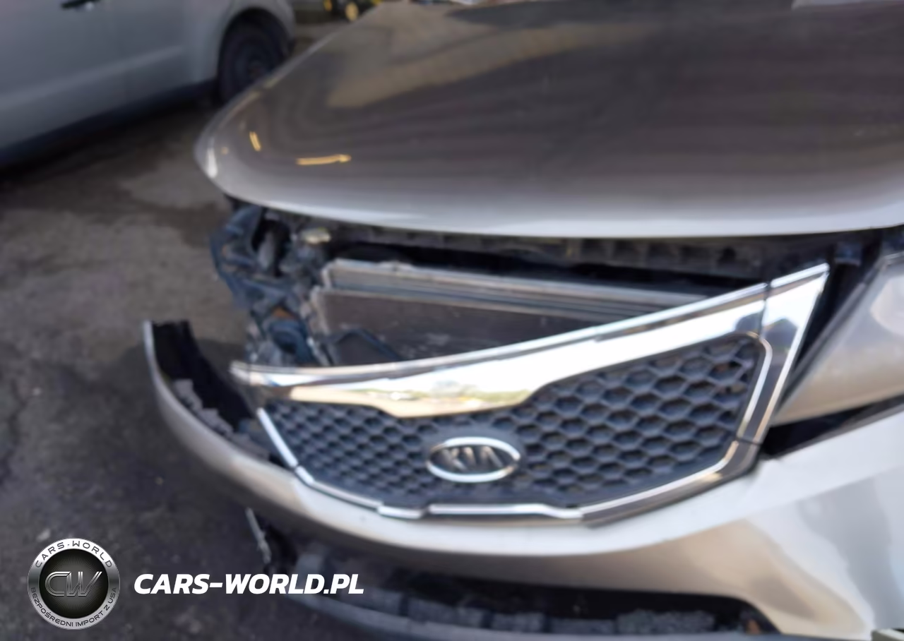 2013 Kia Sorento Ex VIN:5XYKU4A69DG321476 - 6
