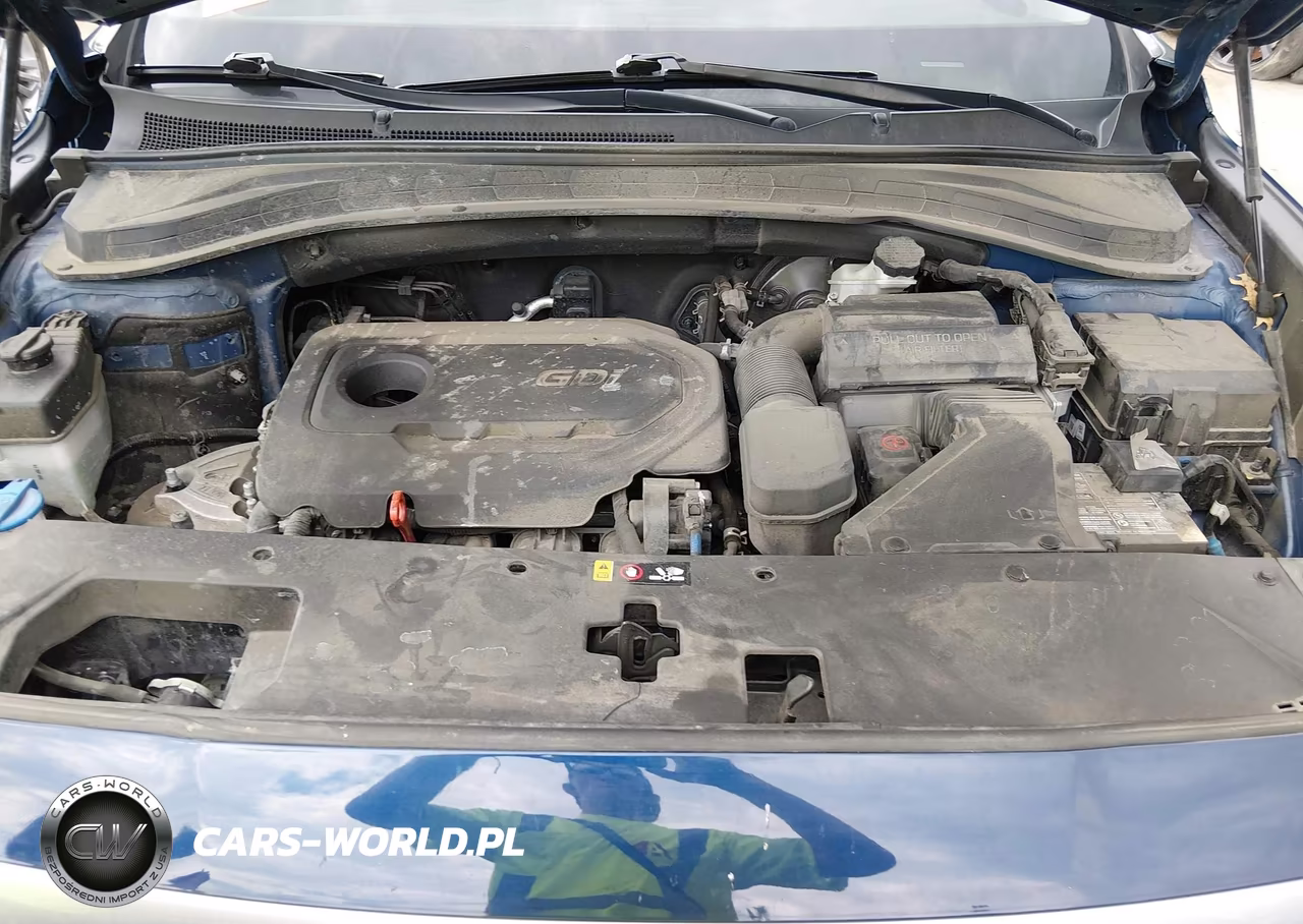 2019 Hyundai Santa Fe Sel Plus VIN:5NMS33ADXKH052757 - 10
