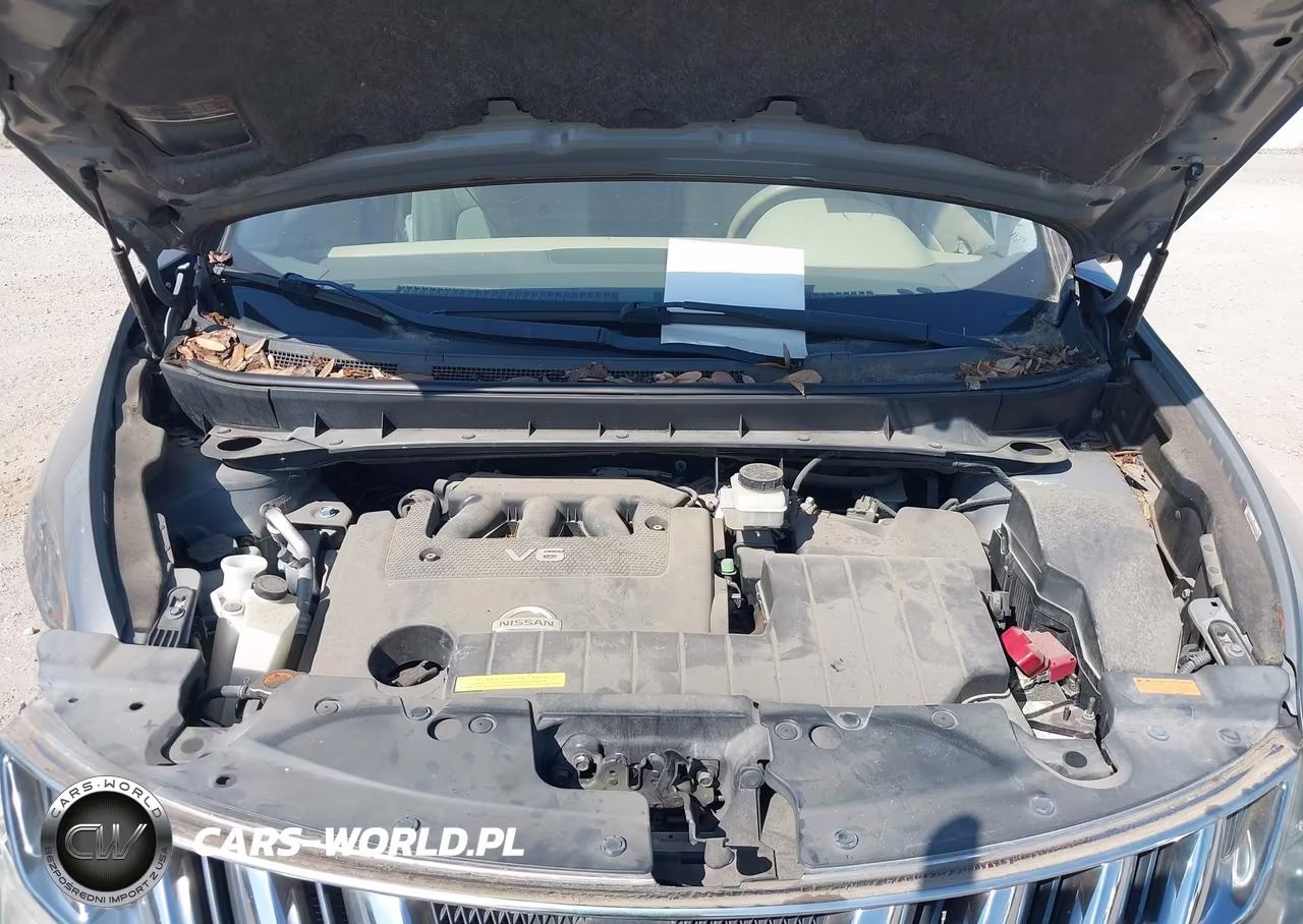 2009 Nissan Murano Sl VIN:JN8AZ18U29W026069 - 10