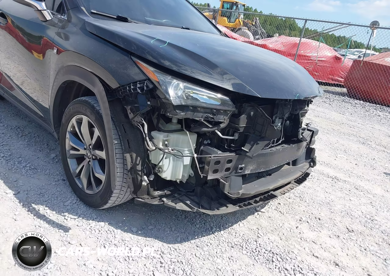 2016 Lexus Nx 200T F Sport VIN:JTJYARBZ0G2038047 - 19