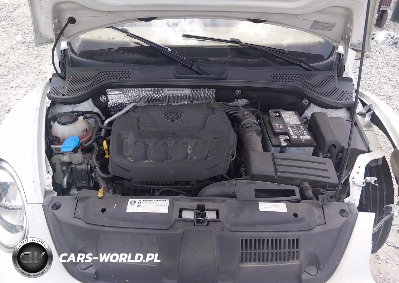 2019 Volkswagen Beetle 2.0T Final Edition Se-2.0T Final Edition Sel-2.0T S-2.0T Se VIN:3VW5DAAT5KM502900 - 10