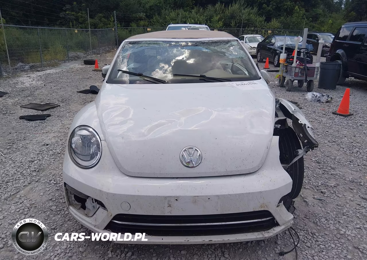 2019 Volkswagen Beetle 2.0T Final Edition Se-2.0T Final Edition Sel-2.0T S-2.0T Se VIN:3VW5DAAT5KM502900 - 11