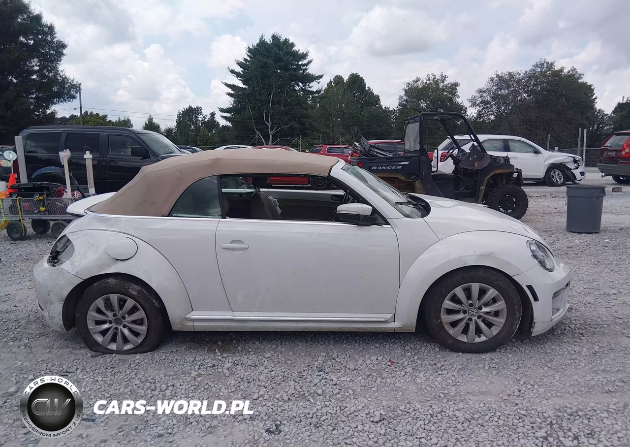 2019 Volkswagen Beetle 2.0T Final Edition Se-2.0T Final Edition Sel-2.0T S-2.0T Se VIN:3VW5DAAT5KM502900 - 12