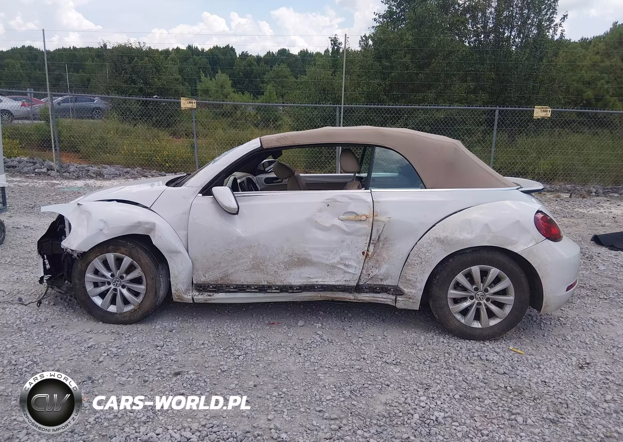 2019 Volkswagen Beetle 2.0T Final Edition Se-2.0T Final Edition Sel-2.0T S-2.0T Se VIN:3VW5DAAT5KM502900 - 13