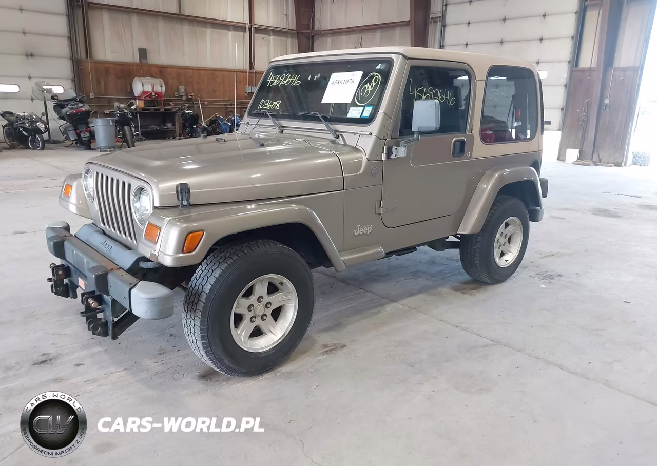 2004 Jeep Wrangler Sahara VIN:1J4FA59S64P757582 - 2