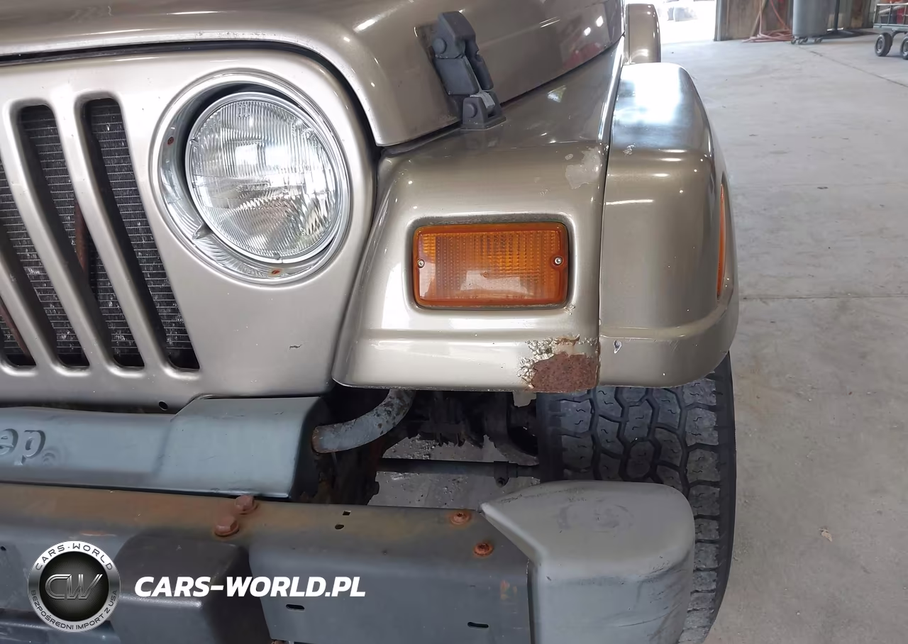 2004 Jeep Wrangler Sahara VIN:1J4FA59S64P757582 - 6