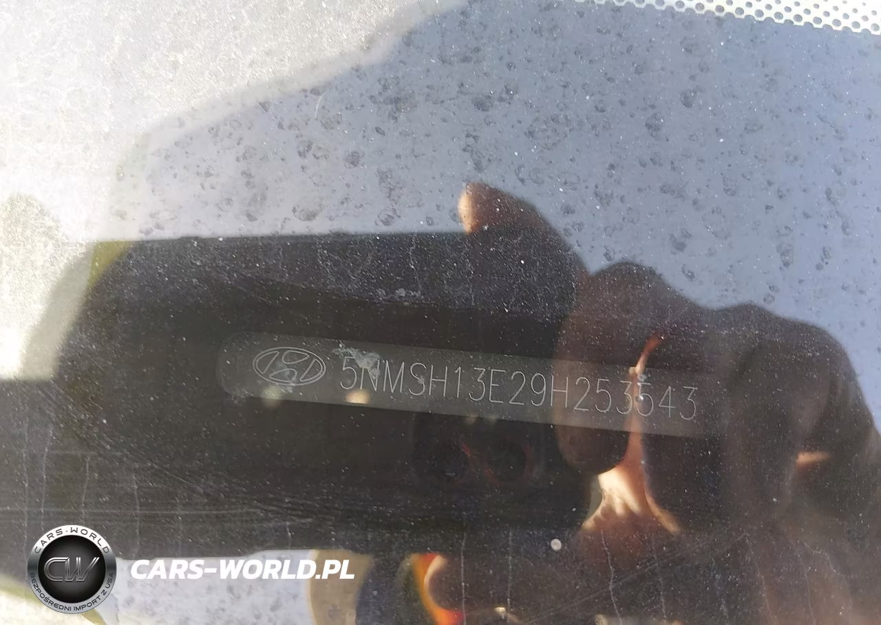 2009 Hyundai Santa Fe Limited VIN:5NMSH13E29H253543 - 12