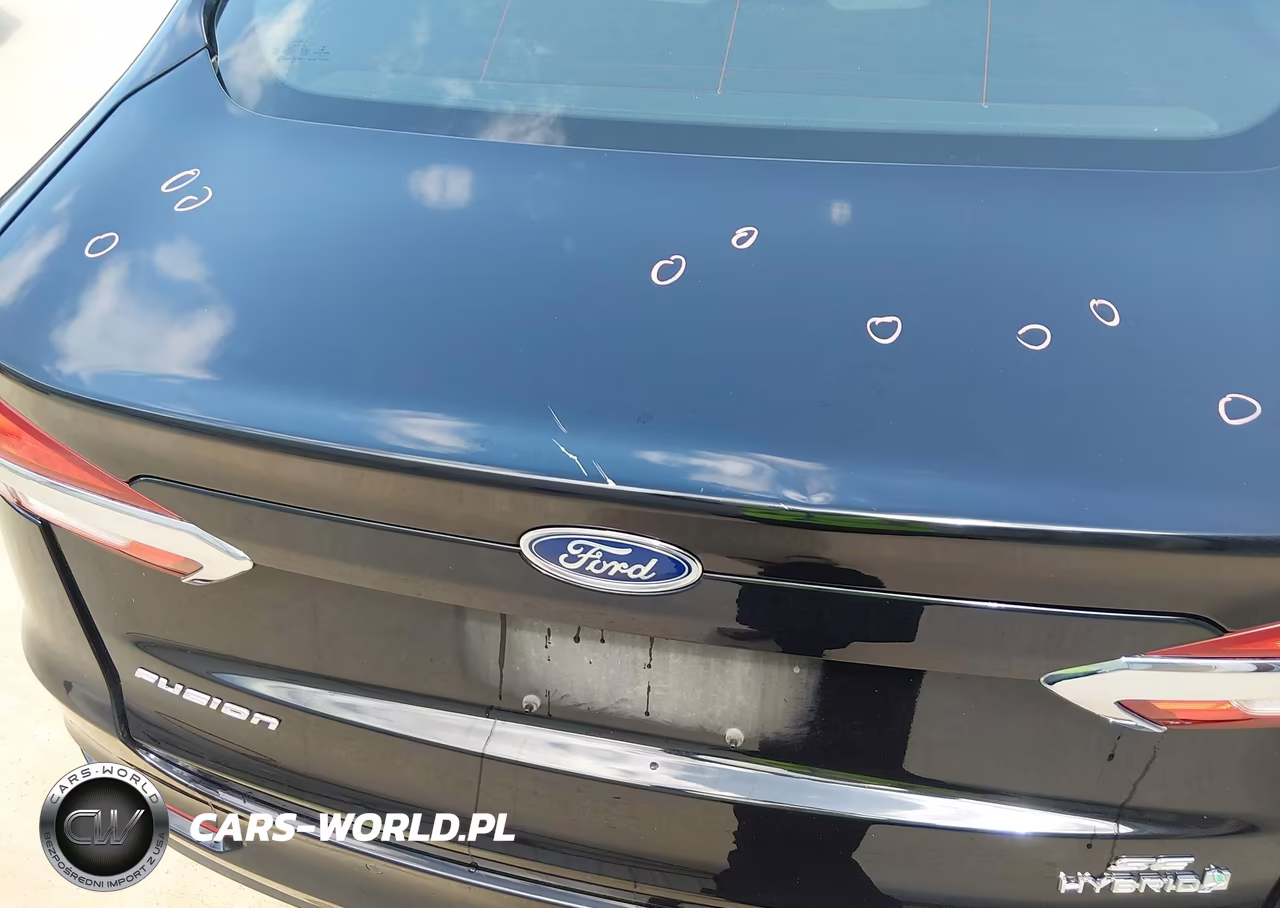 2019 Ford Fusion Hybrid Se VIN:3FA6P0LU0KR100421 - 6