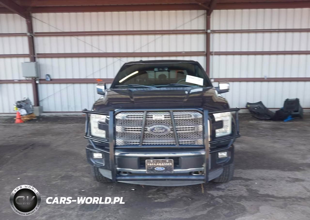 2015 Ford F-150 Platinum VIN:1FTEW1EG8FFA27713 - 12