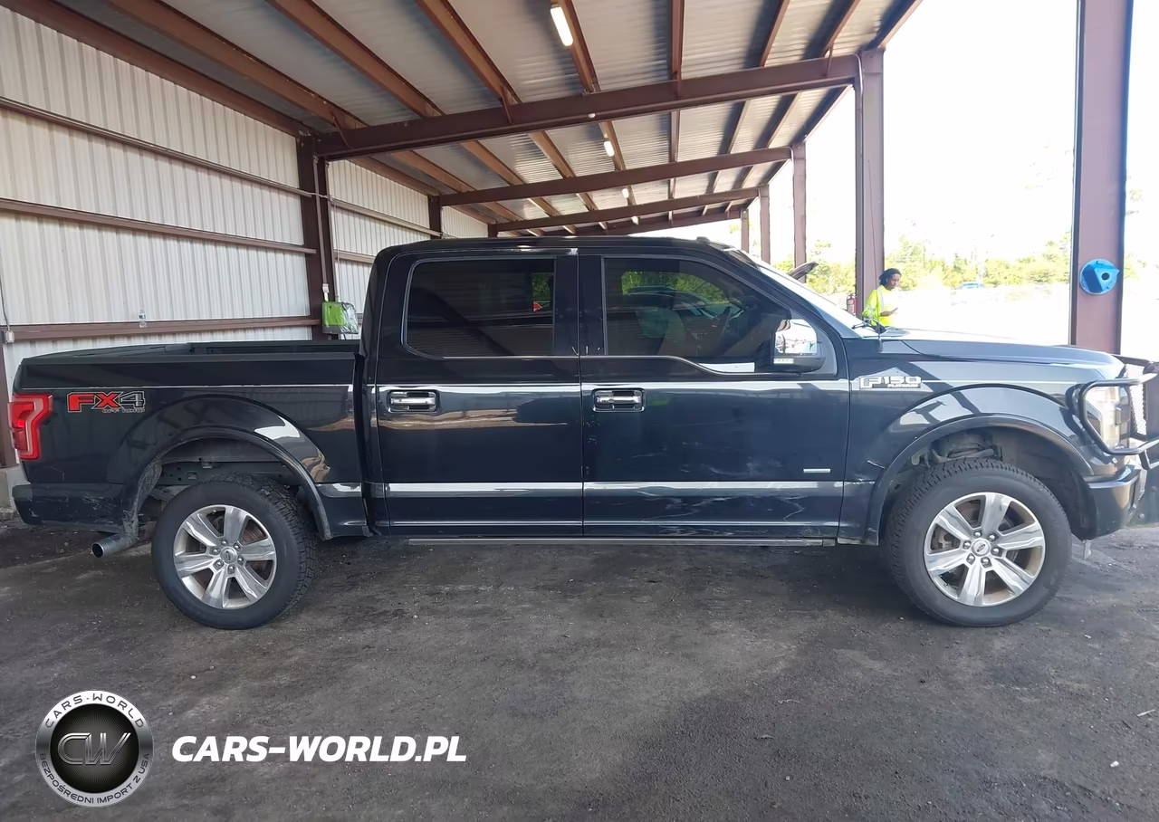 2015 Ford F-150 Platinum VIN:1FTEW1EG8FFA27713 - 13