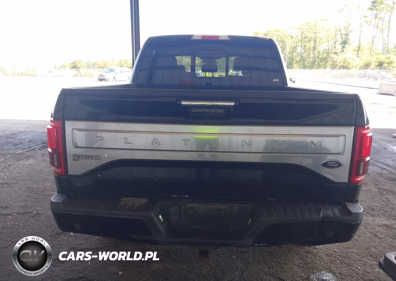 2015 Ford F-150 Platinum VIN:1FTEW1EG8FFA27713 - 16