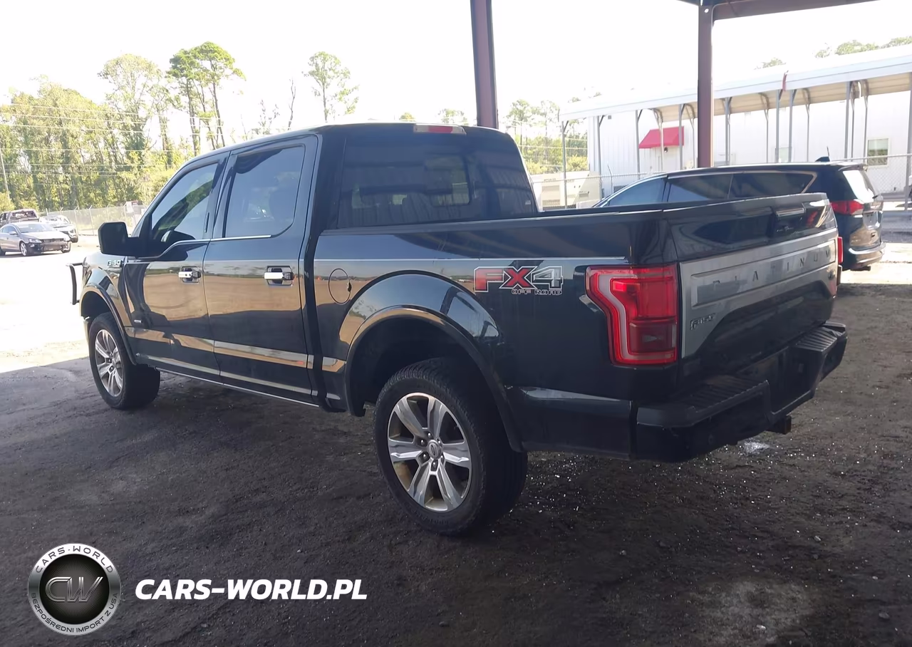 2015 Ford F-150 Platinum VIN:1FTEW1EG8FFA27713 - 3