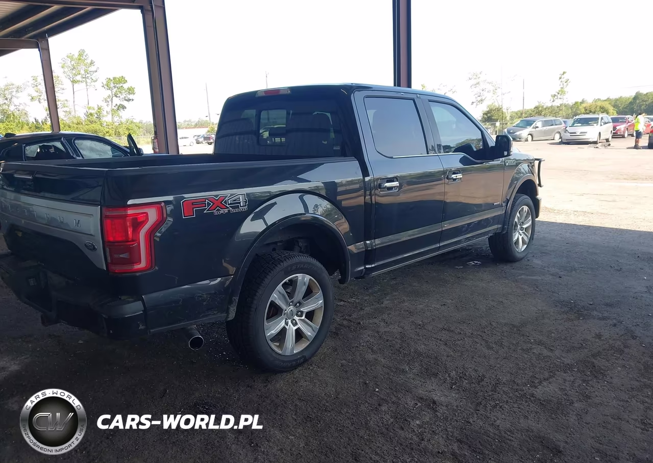 2015 Ford F-150 Platinum VIN:1FTEW1EG8FFA27713 - 4