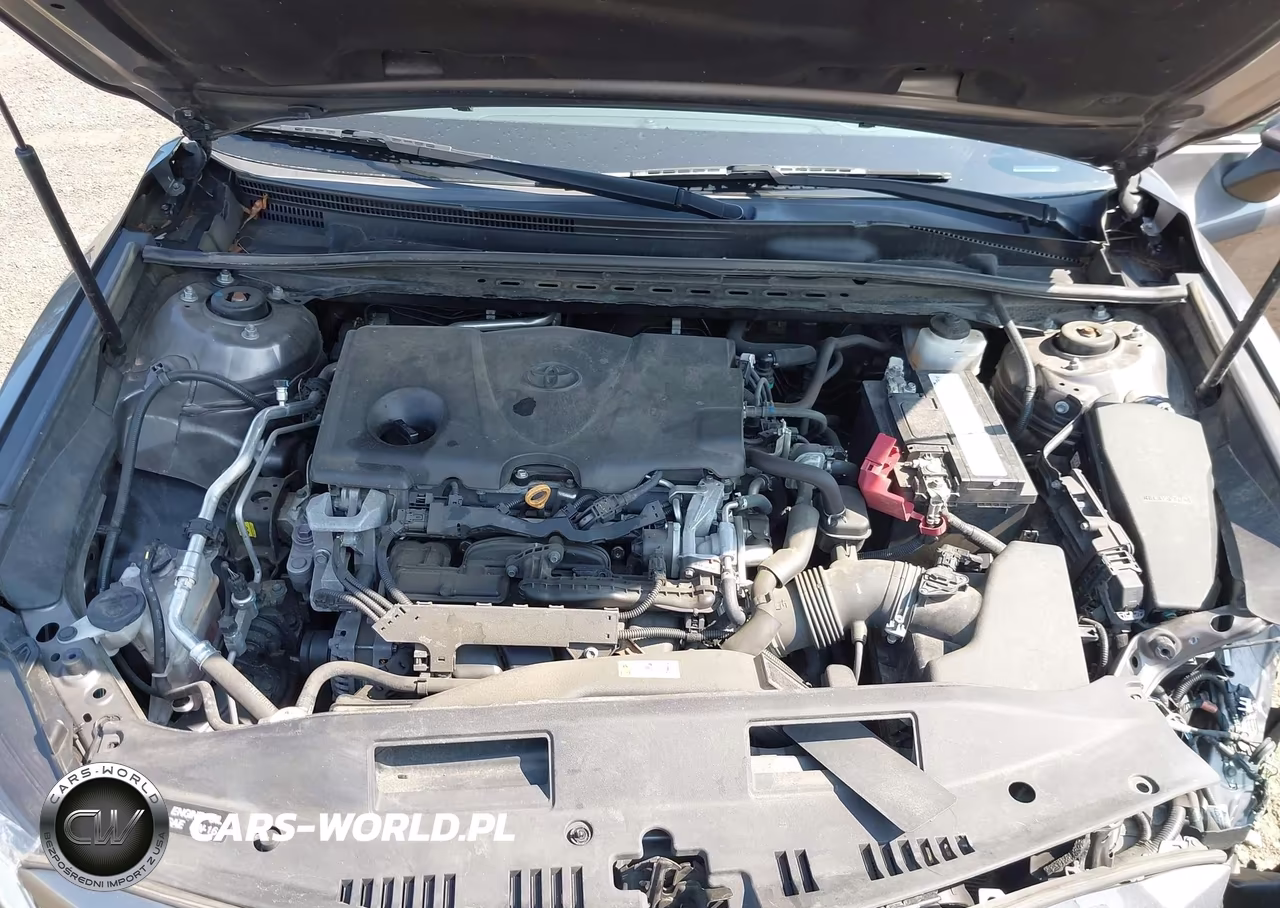 2019 Toyota Camry Se VIN:4T1B11HK3KU769066 - 10
