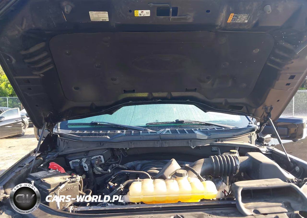 FORD F150 SUPER VIN:1FTFW1E58MFC20671 - 10