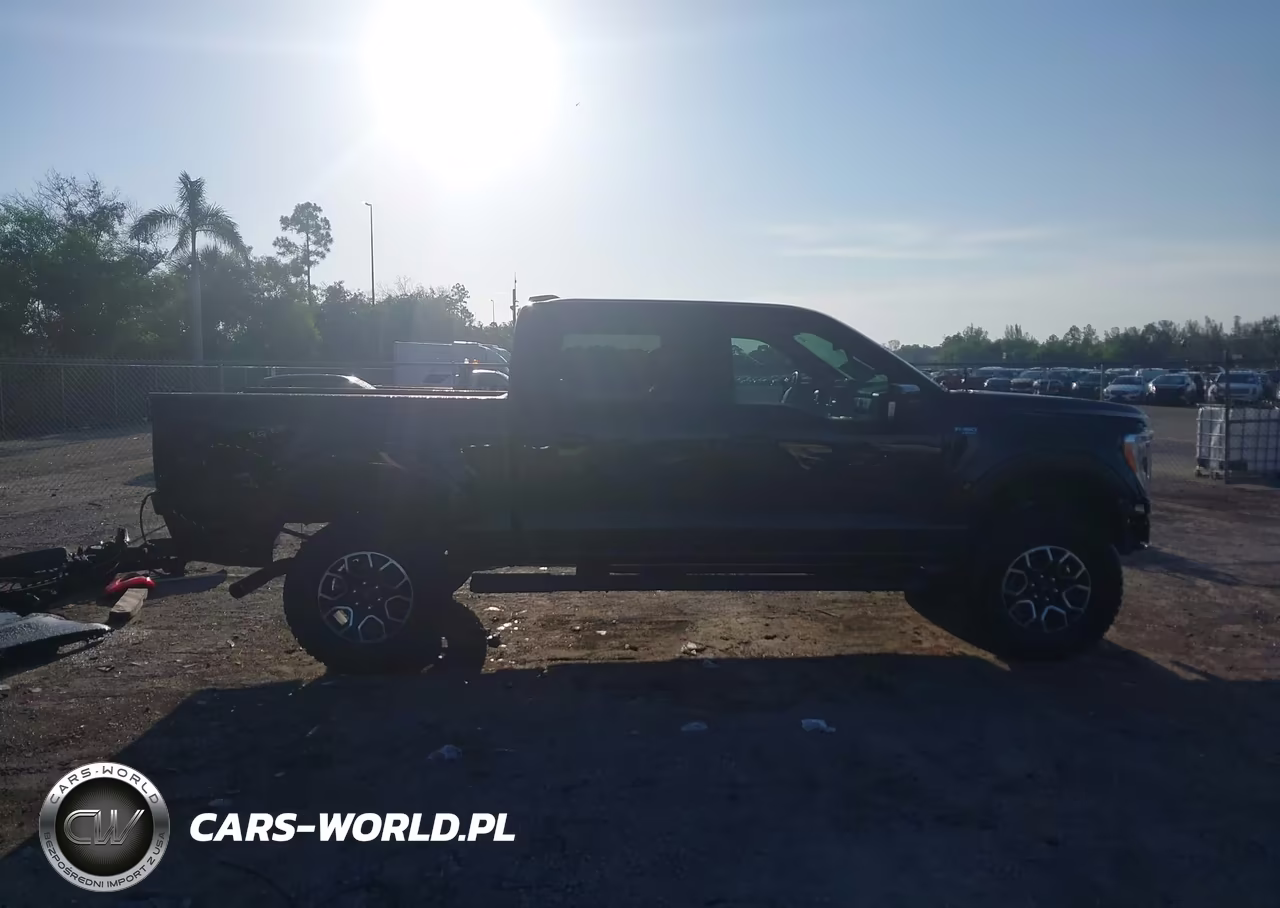 FORD F150 SUPER VIN:1FTFW1E58MFC20671 - 13