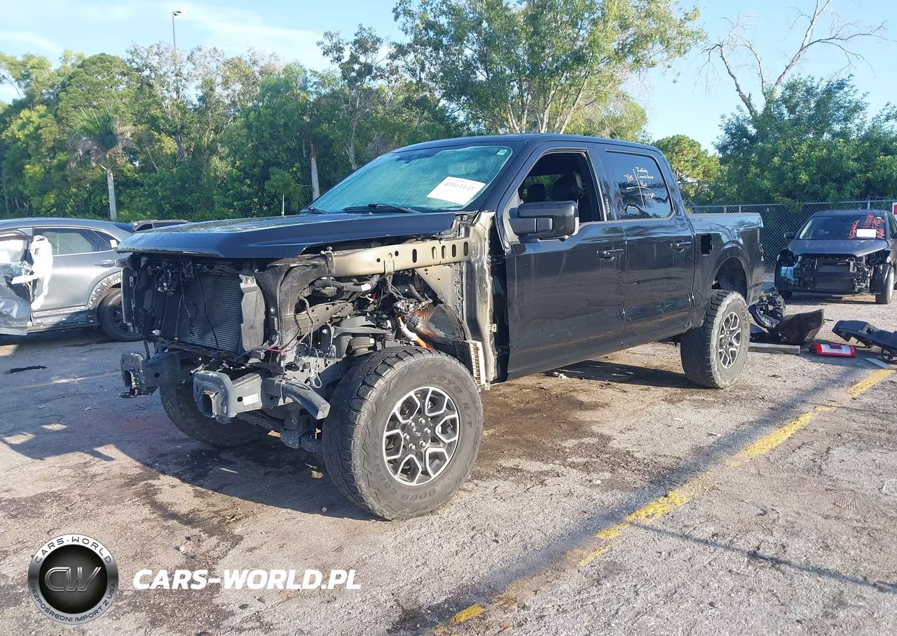 FORD F150 SUPER VIN:1FTFW1E58MFC20671 - 2