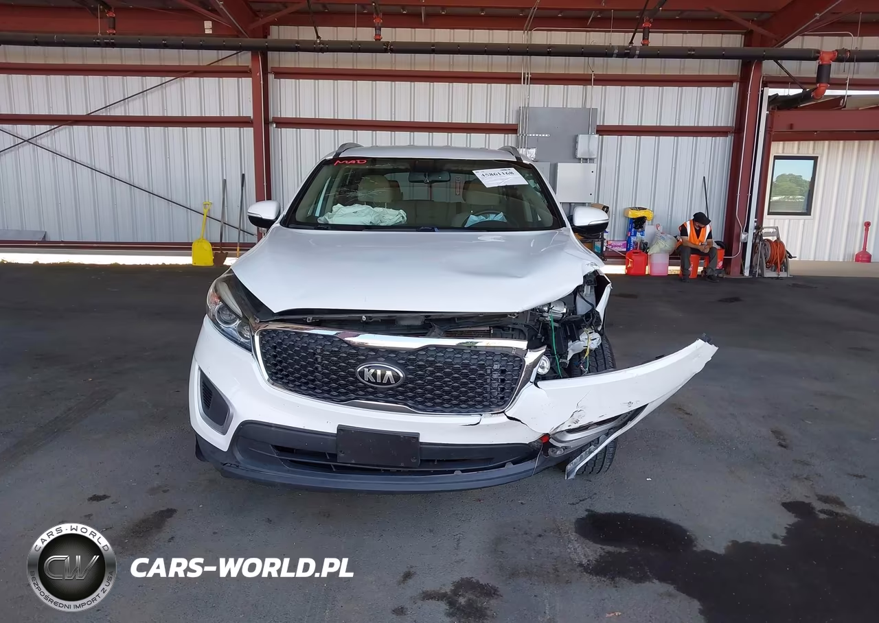 2018 Kia Sorento 2.4L Lx VIN:5XYPG4A37JG432123 - 13