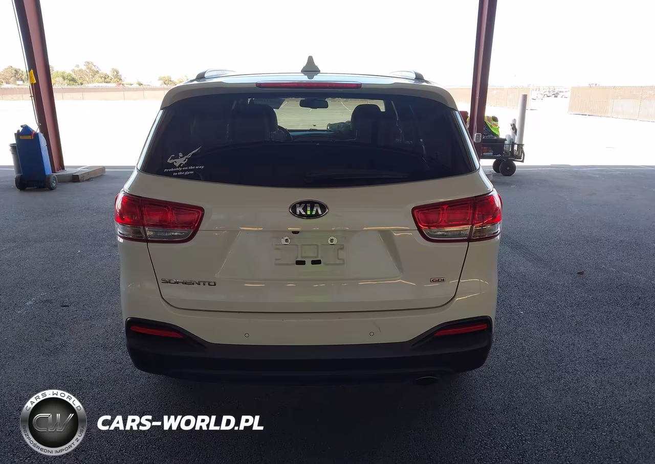 2018 Kia Sorento 2.4L Lx VIN:5XYPG4A37JG432123 - 17