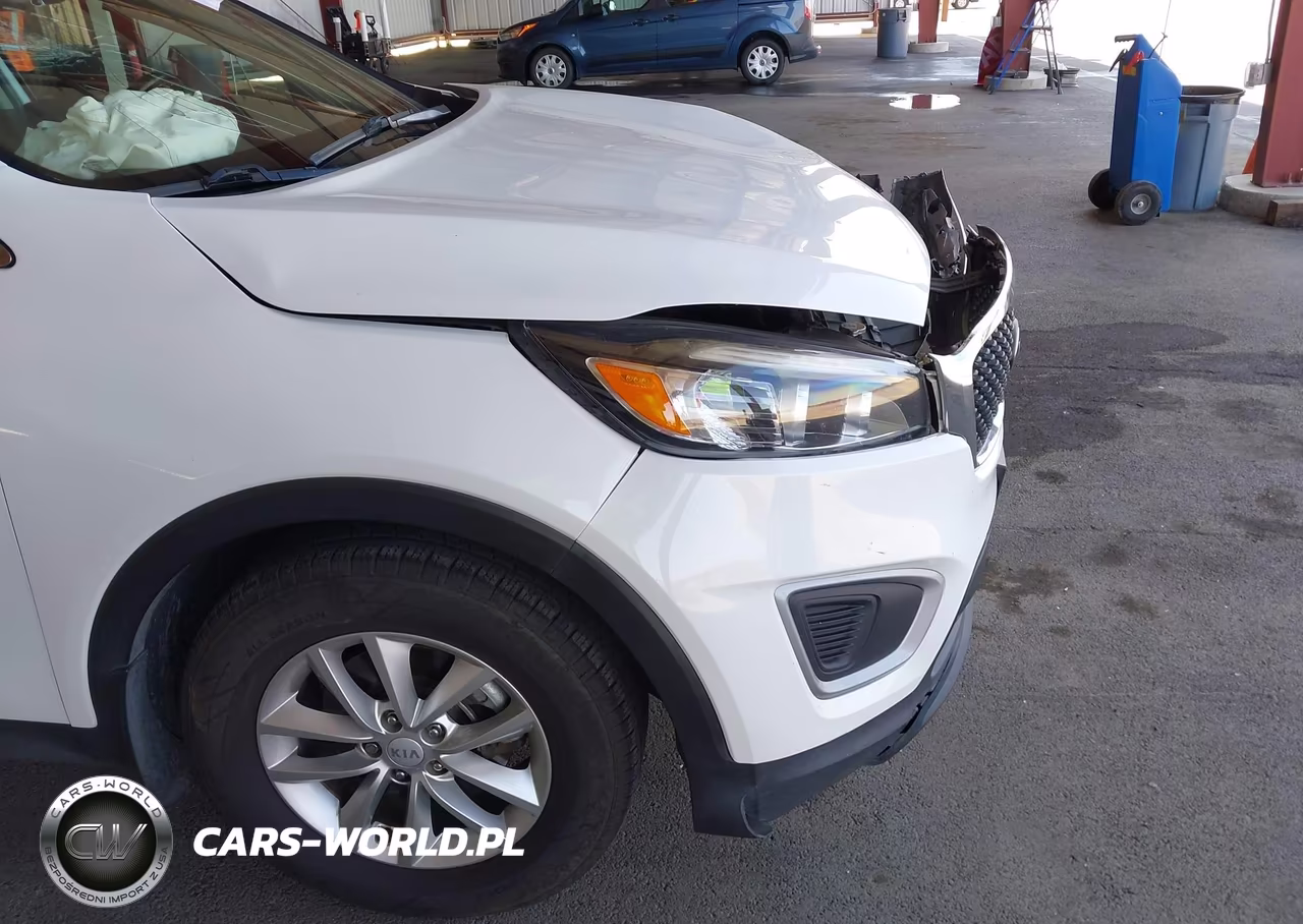 2018 Kia Sorento 2.4L Lx VIN:5XYPG4A37JG432123 - 20
