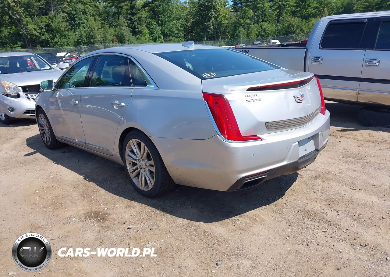 2019 Cadillac Xts Luxury VIN:2G61M5S39K9125958 - 3
