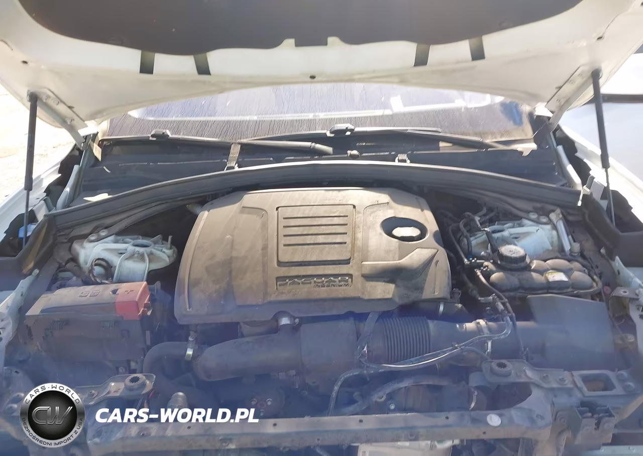 2019 Jaguar F-Pace 25T R-Sport-30T R-Sport VIN:SADCL2GX0KA600649 - 10