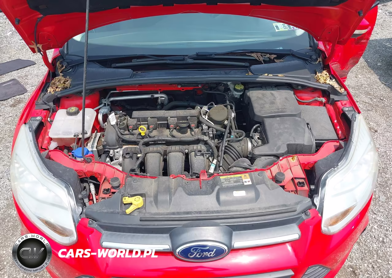2014 Ford Focus Se VIN:1FADP3F22EL159086 - 10