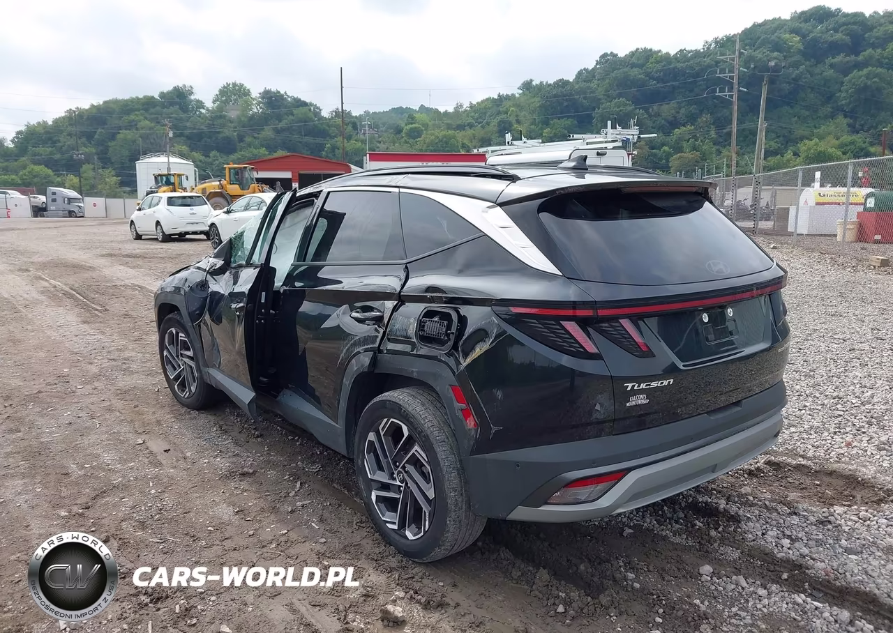 2025 Hyundai Tucson Hybrid Limited VIN:KM8JEDD15SU342731 - 3