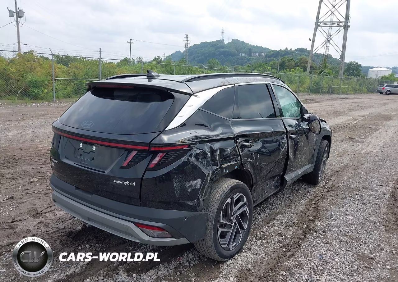 2025 Hyundai Tucson Hybrid Limited VIN:KM8JEDD15SU342731 - 4