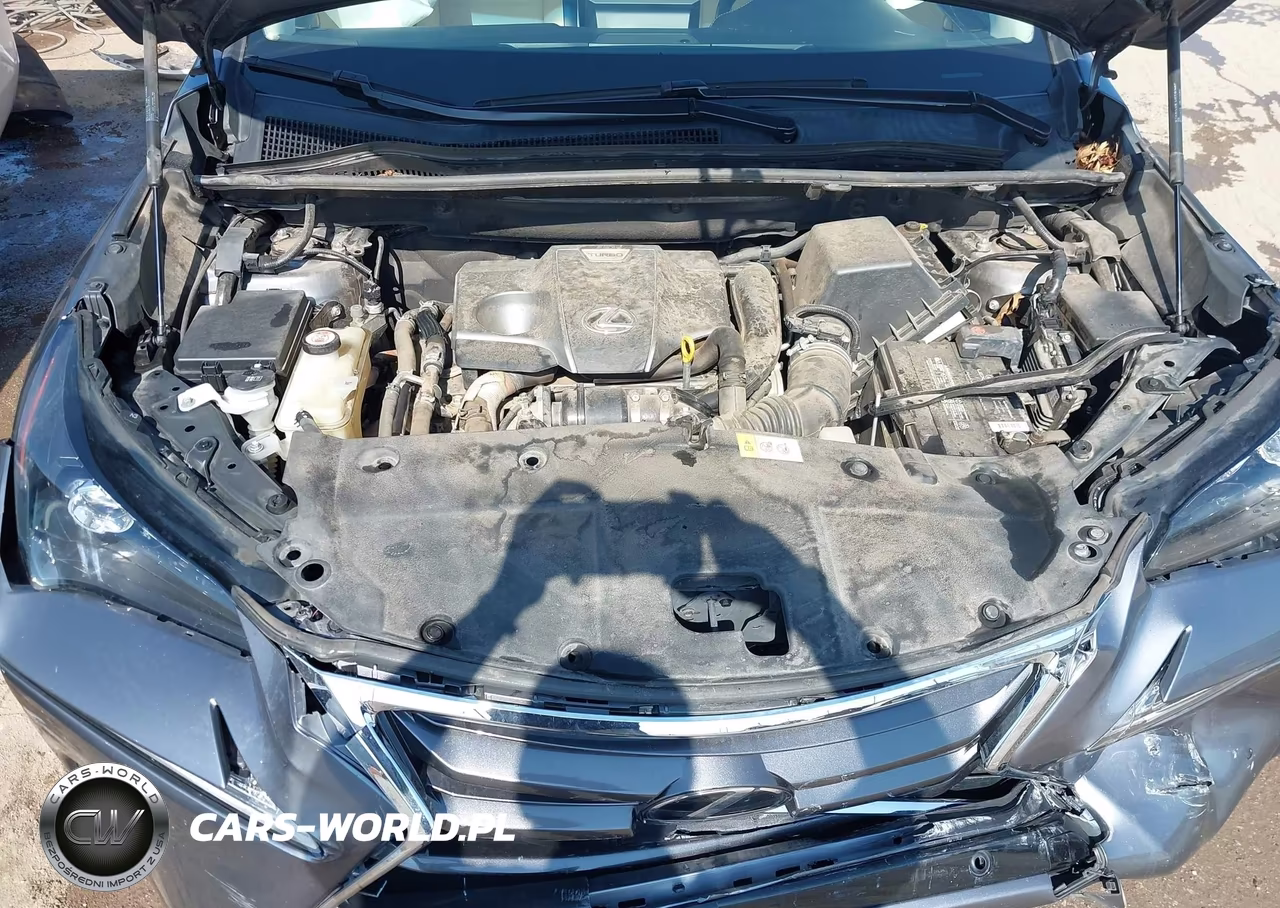 2016 Lexus Nx 200T VIN:JTJYARBZ1G2045234 - 10