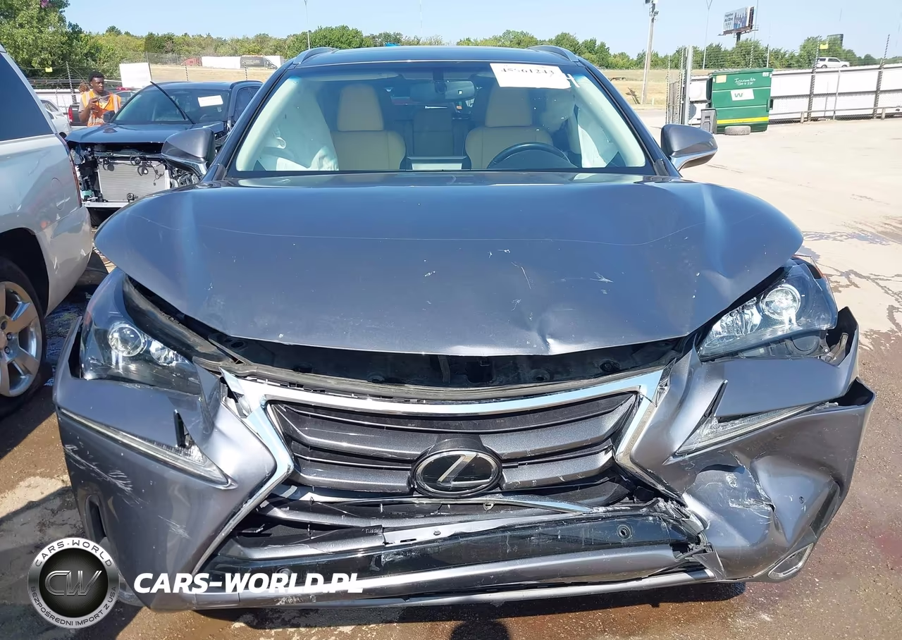 2016 Lexus Nx 200T VIN:JTJYARBZ1G2045234 - 12