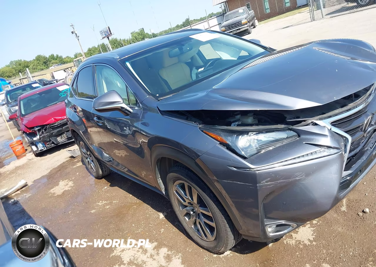 2016 Lexus Nx 200T VIN:JTJYARBZ1G2045234 - 13