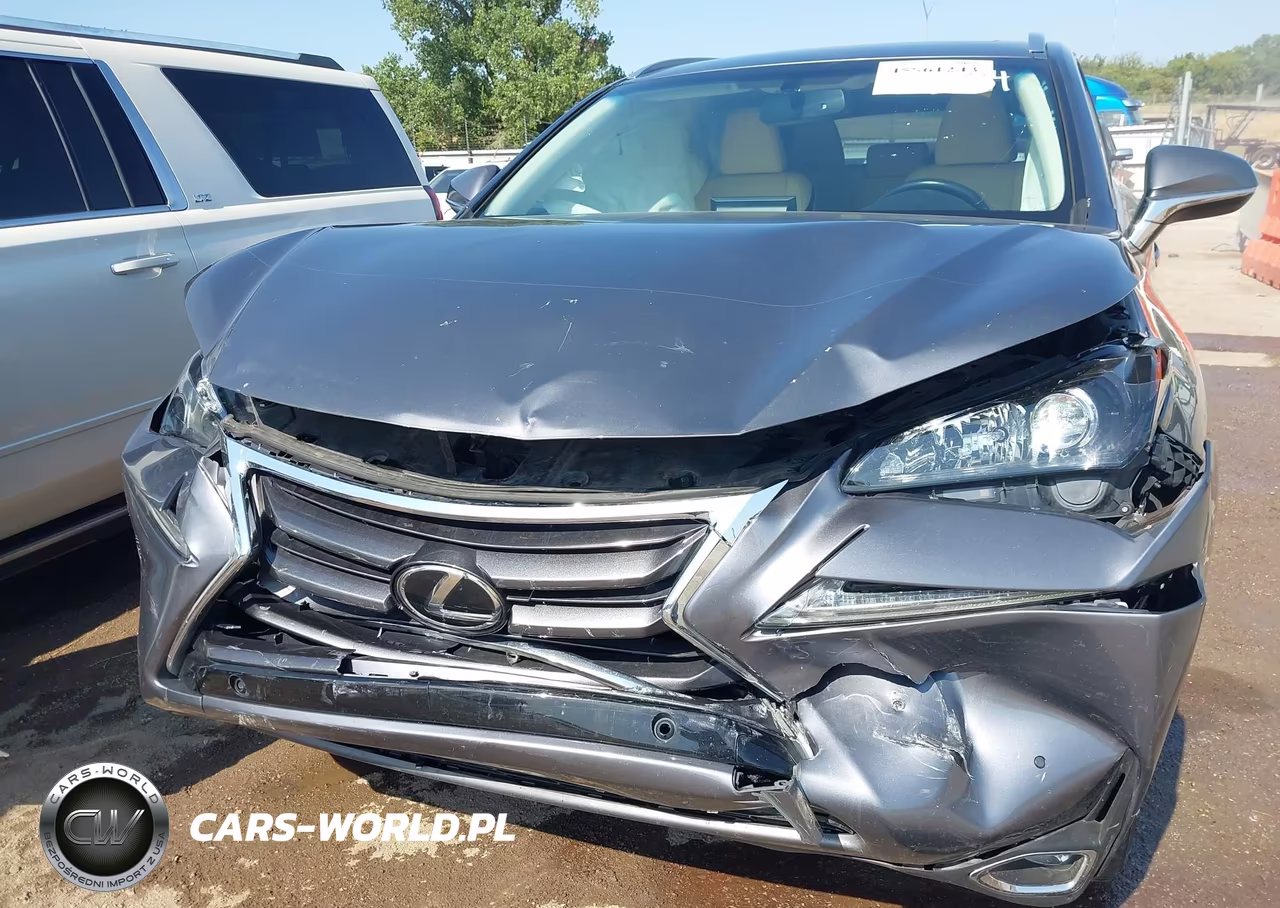 2016 Lexus Nx 200T VIN:JTJYARBZ1G2045234 - 6