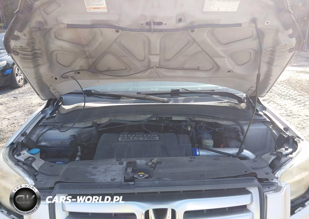 2008 Honda Pilot Se VIN:5FNYF28338B007503 - 10